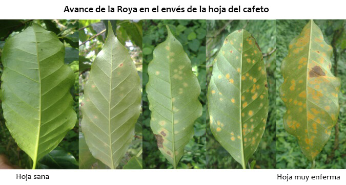 Imagen relacionada
